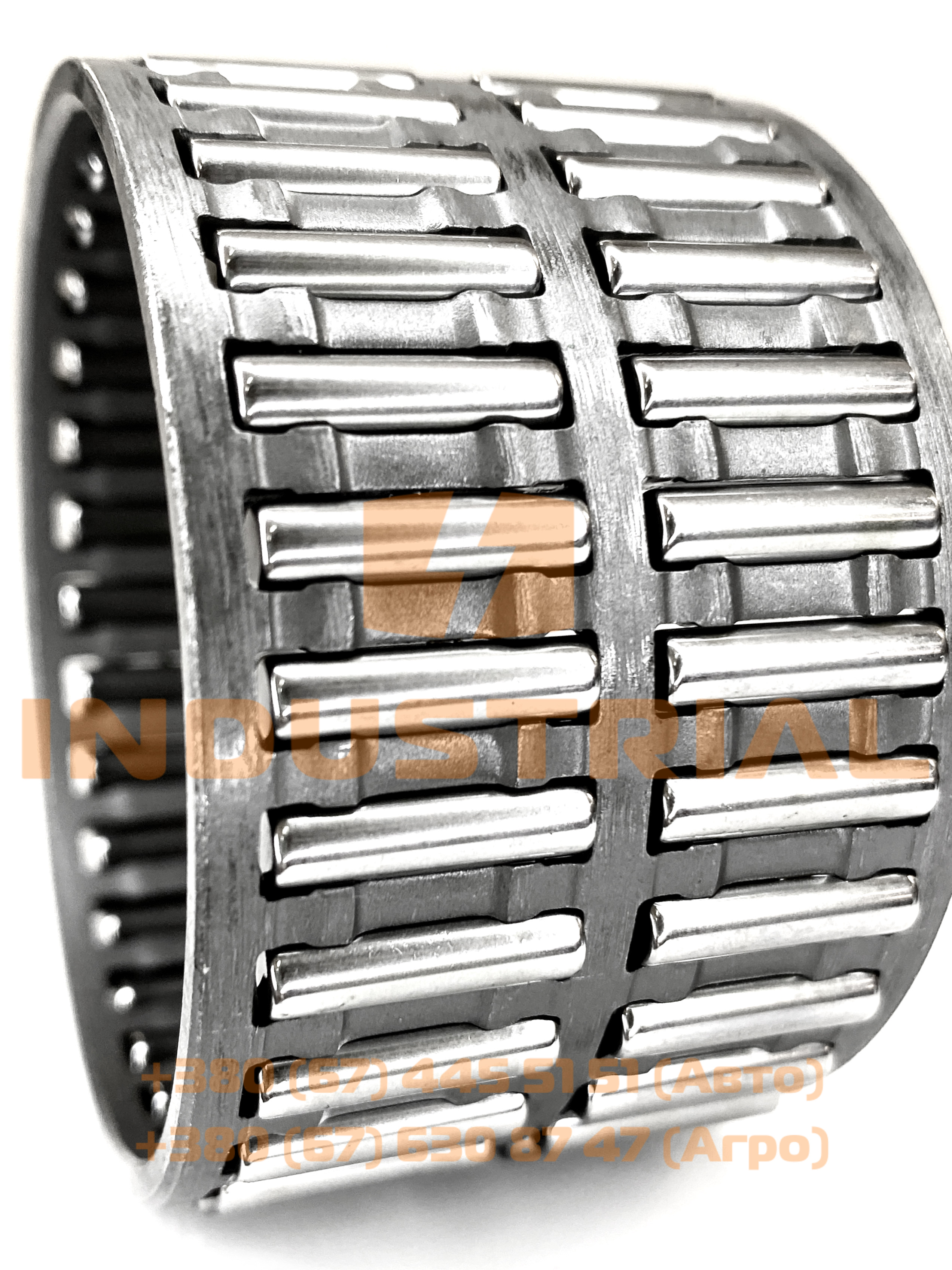 ZFP 3808688 ZF